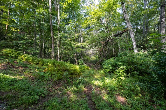 0 S Cliff Rd, Cullowhee, NC 28723