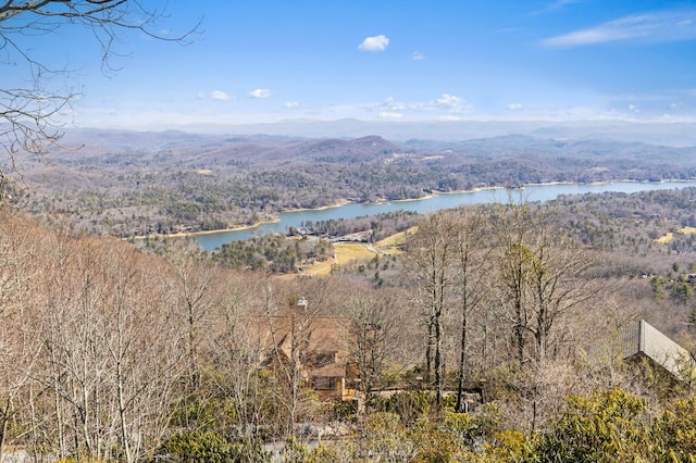 view of mountain feature with a water view