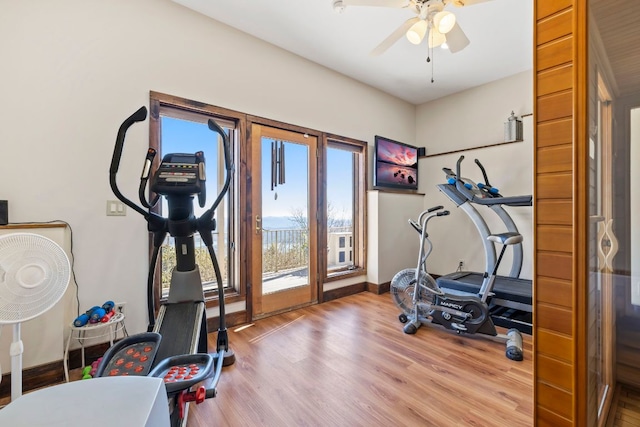 exercise room with ceiling fan, baseboards, and wood finished floors