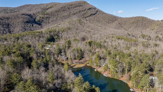 mountain view with a water view and a forest view