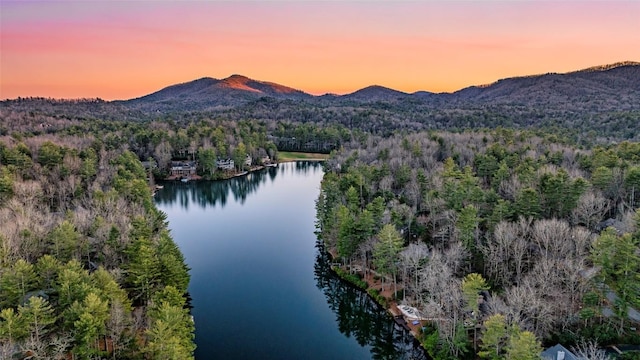 aerial view featuring a forest view and a water and mountain view