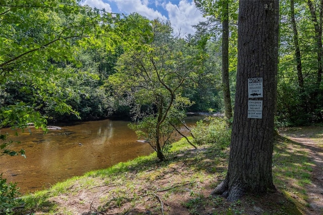 property view of water featuring a view of trees