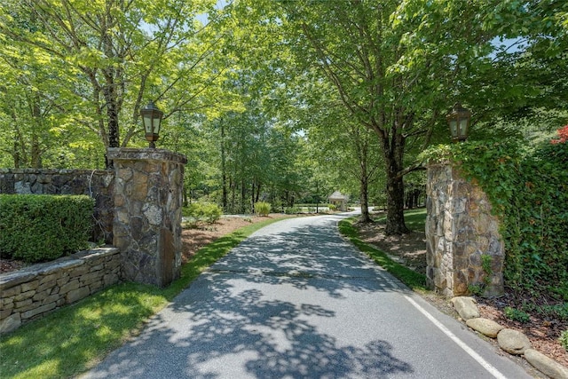 view of street featuring aphalt driveway