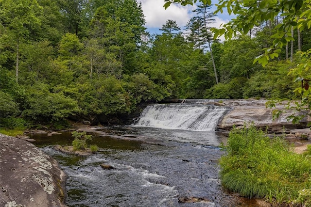 water view featuring a wooded view