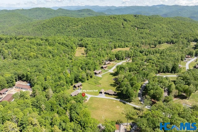 55 Big Acorn Trl, Glenville, NC 28736 - photo 27