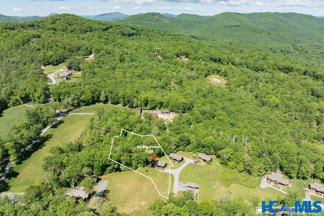 55 Big Acorn Trl, Glenville, NC 28736 - photo 25