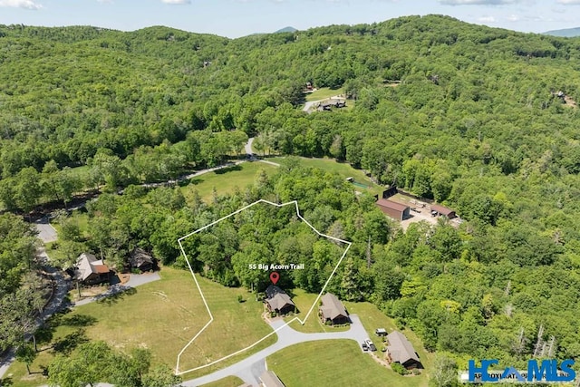55 Big Acorn Trl, Glenville, NC 28736 - photo 26
