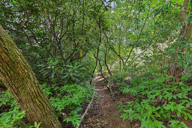 219 Hiwassee Rd, Lake Toxaway, NC 28747 - view of undeveloped land