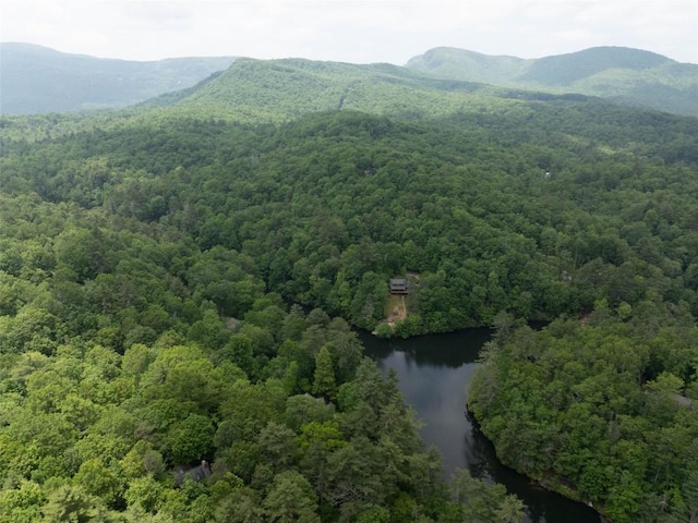 219 Hiwassee Rd, Lake Toxaway, NC 28747 - mountain view with a forest and a large body of water