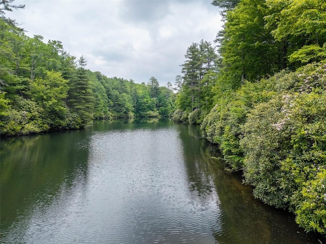 219 Hiwassee Rd, Lake Toxaway, NC 28747 - water view featuring a forest