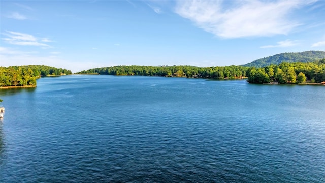 35 Toxaway Landing Dr, Lake Toxaway, NC 28747 - water view featuring a heavily wooded area