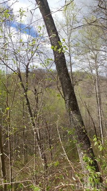 LOT6 Captiva Mountain Dr, Cullowhee NC, 28723 land for sale