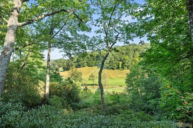 view of landscape