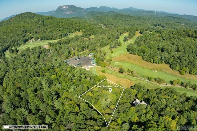 bird's eye view with a mountain view