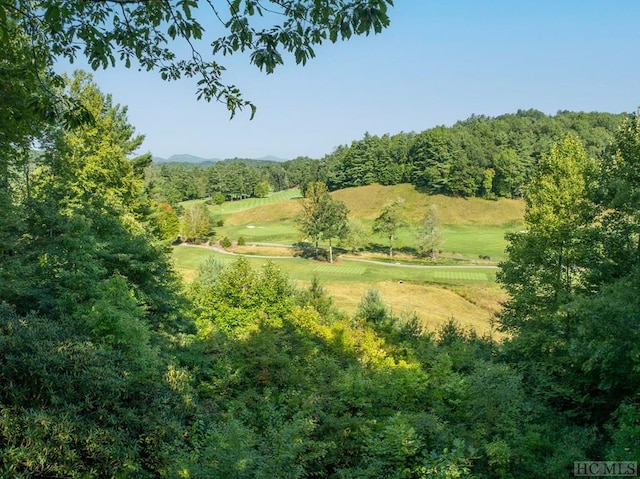 view of nature featuring a rural view