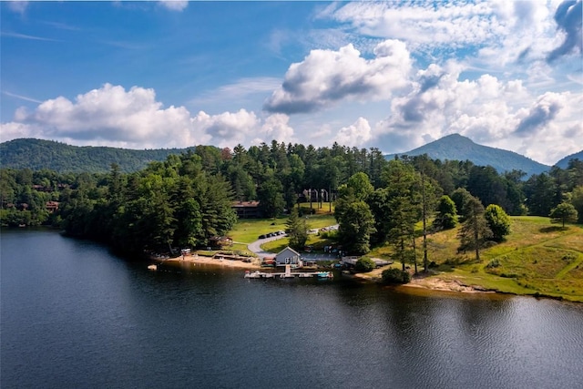 60 Pine Cone Ct, Sapphire, NC 28774 - photo 46
