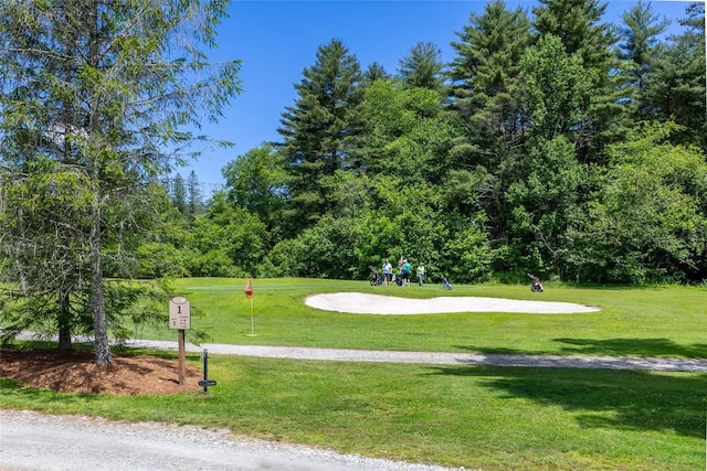 60 Pine Cone Ct, Sapphire, NC 28774 - photo 45