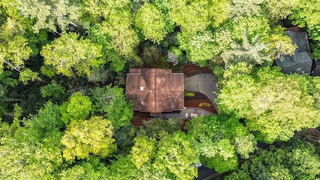 60 Pine Cone Ct, Sapphire, NC 28774 - aerial view