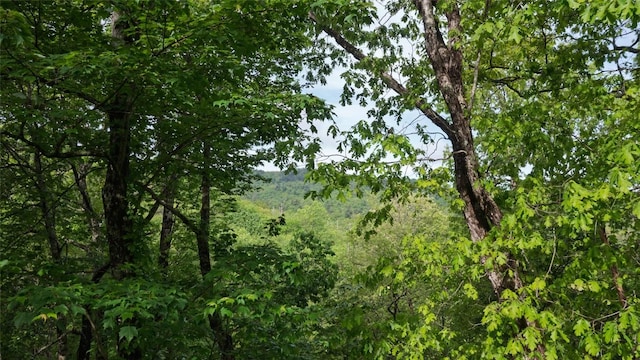 60 Pine Cone Ct, Sapphire, NC 28774 - view of tree filled area