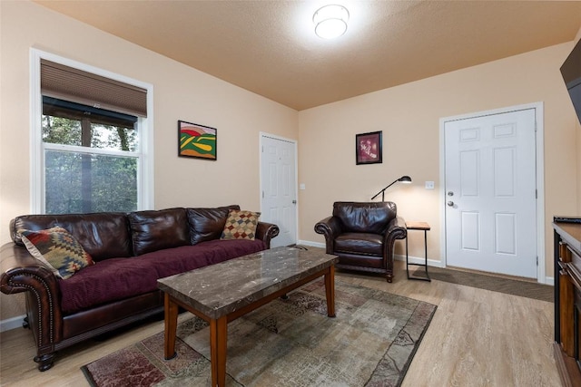 60 Pine Cone Ct, Sapphire, NC 28774 - living room featuring light wood-type flooring and baseboards