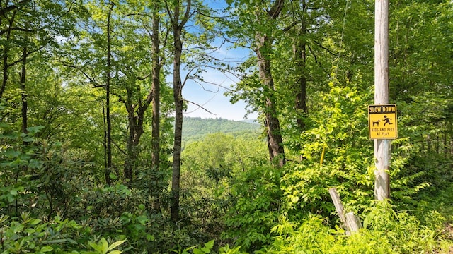 30/31 Sherwood Forest Rd, Highlands, NC 28741