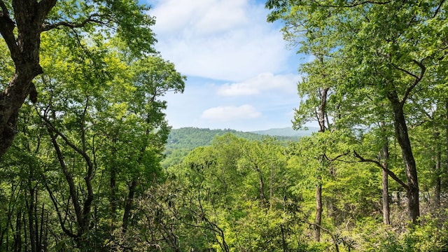 30/31 Sherwood Forest Rd, Highlands, NC 28741