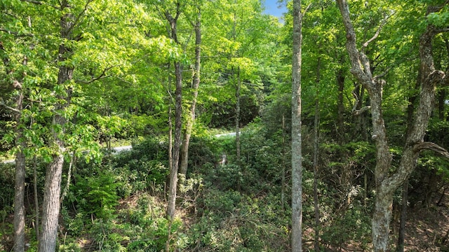30/31 Sherwood Forest Rd, Highlands, NC 28741