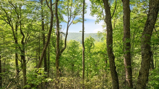 30/31 Sherwood Forest Rd, Highlands, NC 28741