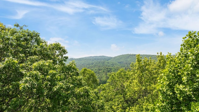 30/31 Sherwood Forest Rd, Highlands, NC 28741