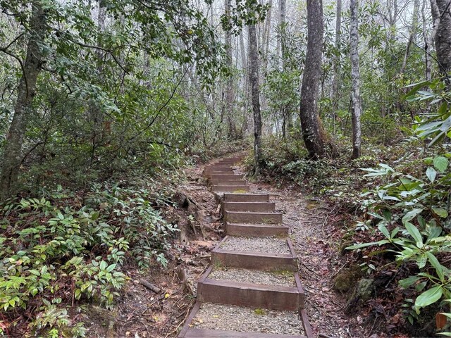 0 Holly Rd, Sapphire, NC 28774 - photo 12