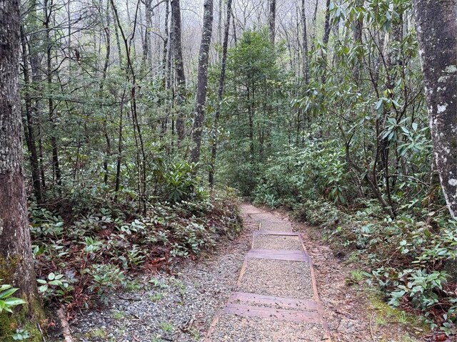 0 Holly Rd, Sapphire, NC 28774 - photo 10