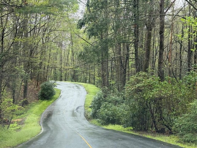 0 Holly Rd, Sapphire, NC 28774 - photo 3