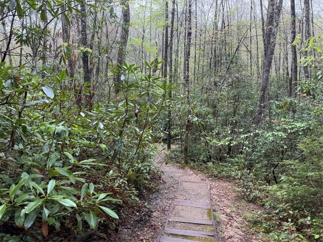 0 Holly Rd, Sapphire, NC 28774 - photo 11