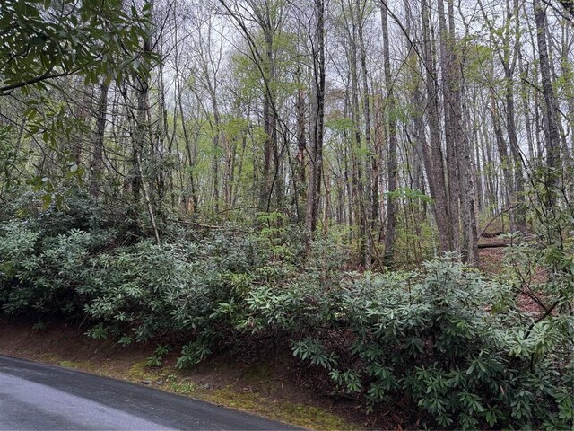 0 Holly Rd, Sapphire, NC 28774 - photo 8