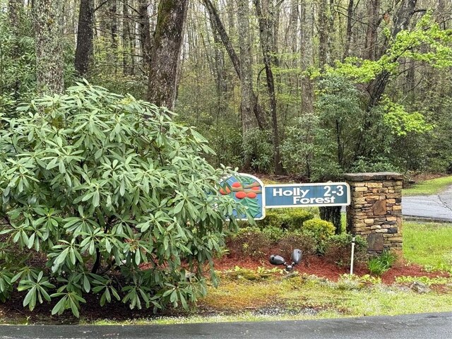 0 Holly Rd, Sapphire, NC 28774 - photo 22