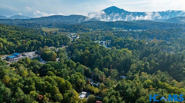 180 Lance Rd, Cashiers, NC 28717 - photo 15