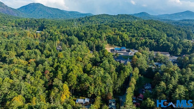180 Lance Rd, Cashiers, NC 28717 - photo 35