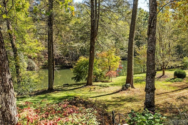 view of yard with a water view