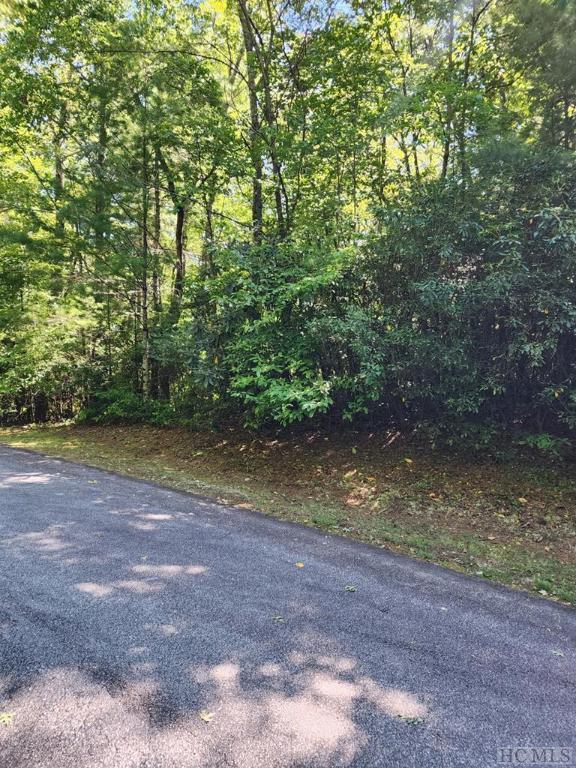 LOT49B Big Pine Rd, Sapphire NC, 28774 land for sale