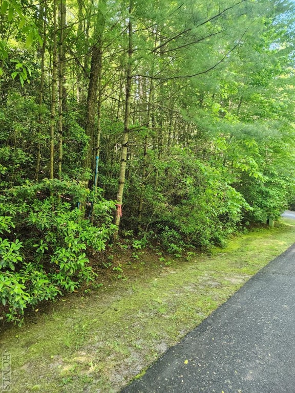 Listing photo 3 for LOT49B Big Pine Rd, Sapphire NC 28774