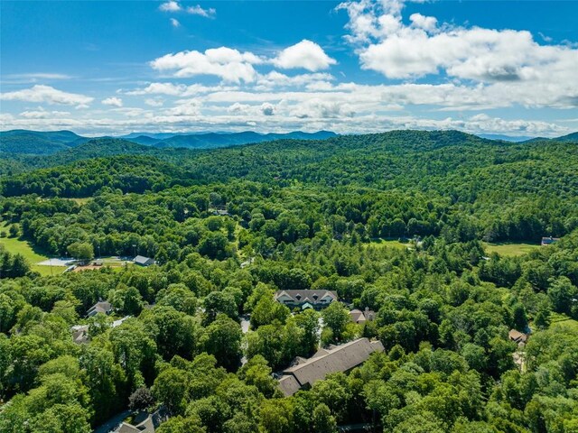 drone / aerial view featuring a mountain view