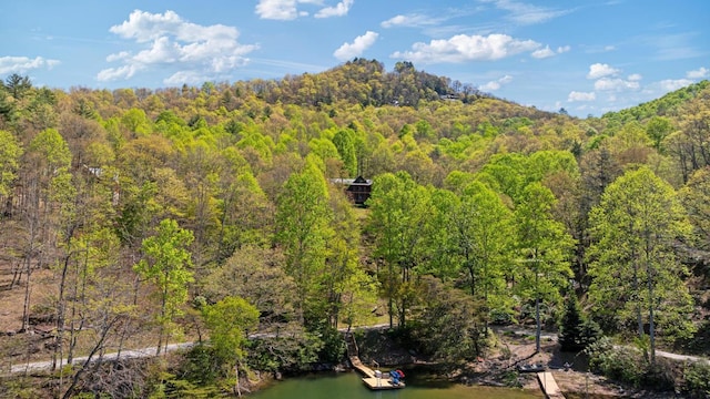 drone / aerial view of a forest