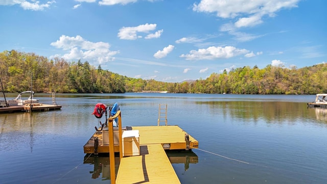 dock area featuring a water view and a wooded view
