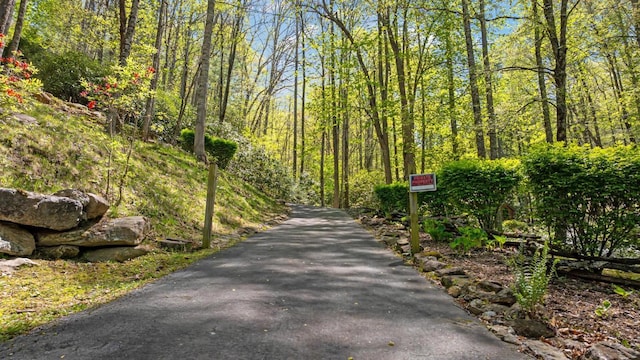 view of road featuring a forest view