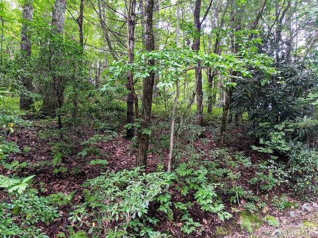 LOT40 Kestrel Ct, Sapphire NC, 28774 land for sale