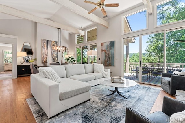 living room with hardwood / wood-style flooring, a healthy amount of sunlight, ceiling fan with notable chandelier, and high vaulted ceiling