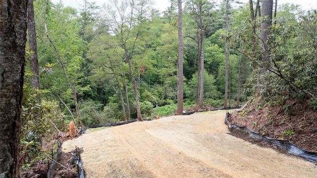 LT108 Riverwalk Dr, Highlands, NC 28741 - photo 15