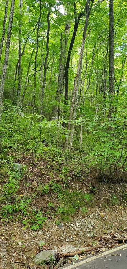 Listing photo 2 for LOT82 W Christy Trl, Sapphire NC 28774