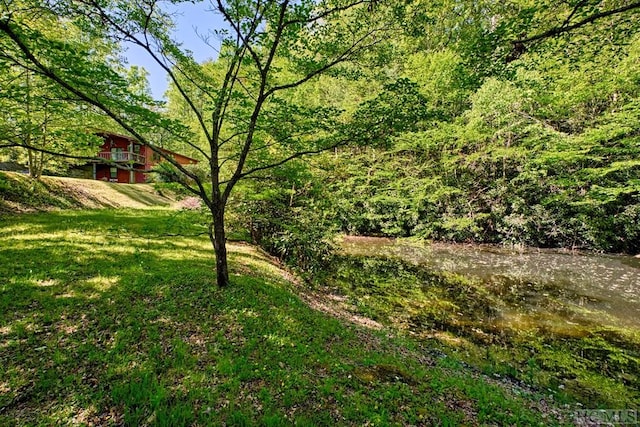 75 Gunpoint Rd, Cullowhee, NC 28723 - photo 21