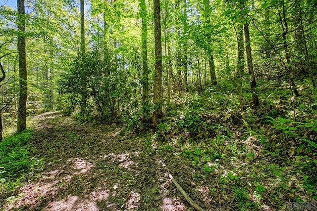 75 Gunpoint Rd, Cullowhee, NC 28723 - photo 19
